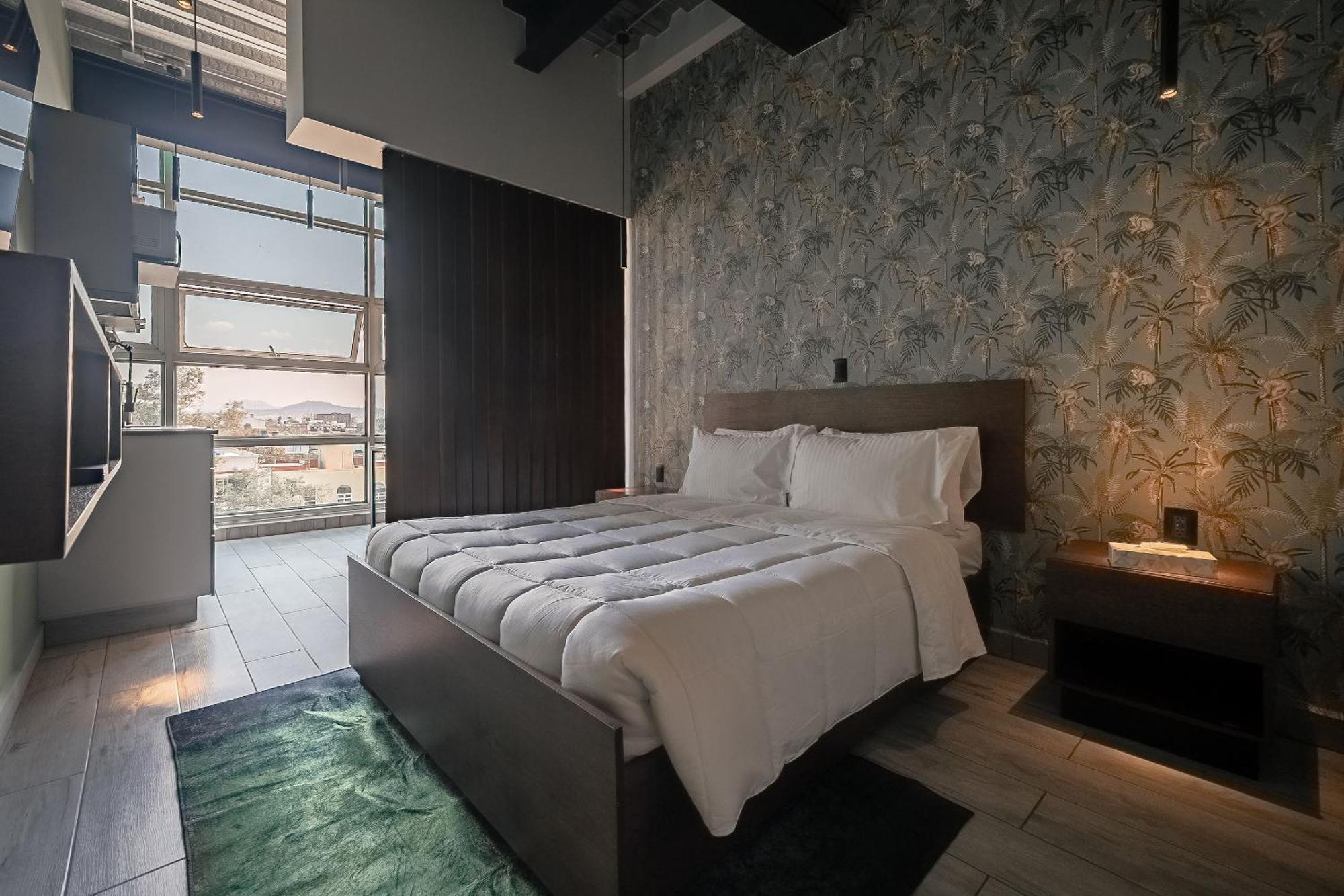 The Jungle Loft Tropical Comfort In A Centric Location With Kitchen México DF Exterior foto